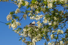 Charger l'image dans la galerie, Nuit & soins pour 2 personnes aux Thermes de Saubusse